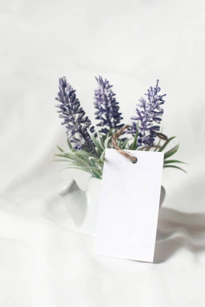 istock Business card mockup with lavender flowers on white background. 1340910934