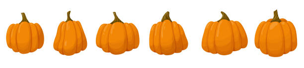 istock Set of orange pumpkin. Vegetable illustration isolated on white background. 1340911972