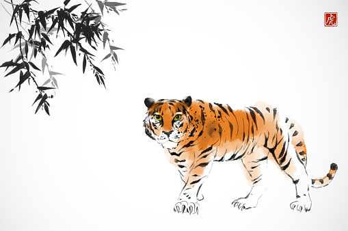 Tiger, symbol of the chinese new year 2022, and bamboo tree hand drawn with ink on rice paper background. Traditional oriental ink painting sumi-e, u-sin, go-hua. Chinese new year greeting card. Hieroglyph - tiger