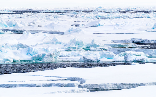 Pack ice, icebergs and ice floes of the arctic sea, north of Svalbard. The snow covered blue glacial ice is an unspoilt wilderness but is fast melting due to climate change.
