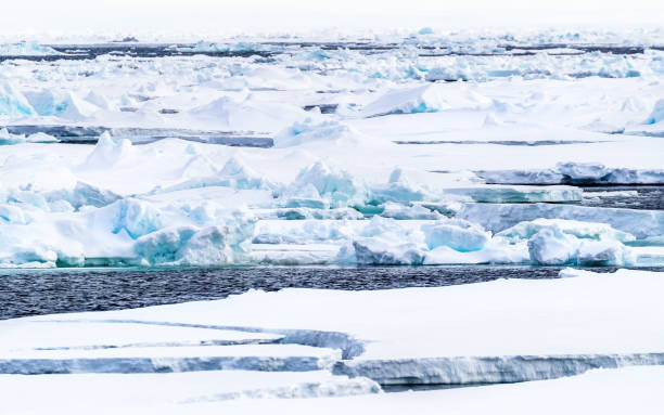 embalar gelo, icebergs e blocos de gelo do mar ártico, ao norte de svalbard a 80º n. o gelo glacial azul coberto de neve é um deserto intocado, mas está derretendo rapidamente devido ao aquecimento global. - massa de gelo flutuante - fotografias e filmes do acervo