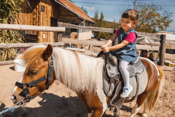 istock Young Girl Riding a Horse 1340930349