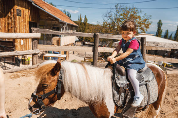istock Young Girl Riding a Horse 1340930360