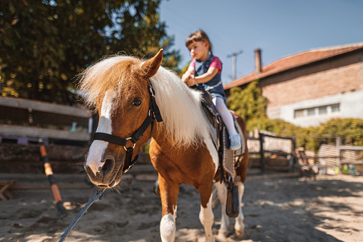 Teenage Girl in helmet Learning Horseback Riding