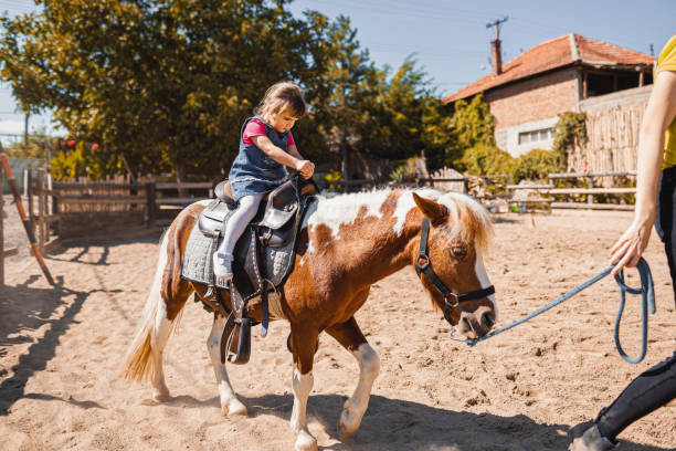 istock Young Girl Riding a Horse 1340930472