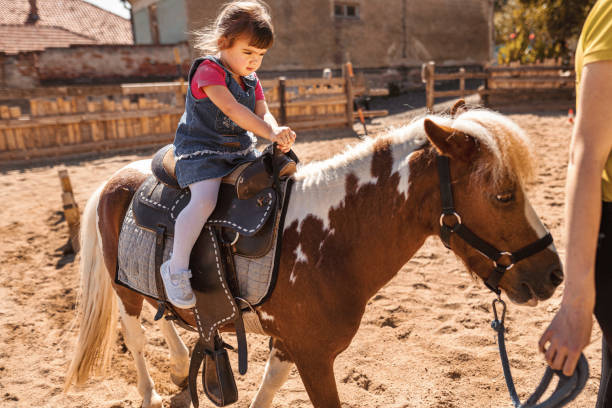 istock Young Girl Riding a Horse 1340930493