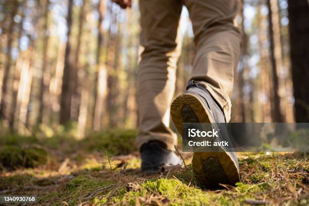 Person Walking In The Woods Speedhiking Shoes Closeup Stock Photo - Download Image Now