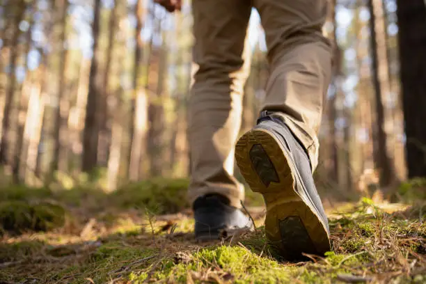 Photo of Person walking in the woods. Speed-hiking shoes closeup.