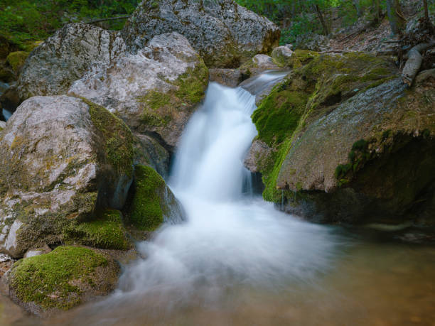 Mountain stream waterfall in the forest in Asia.