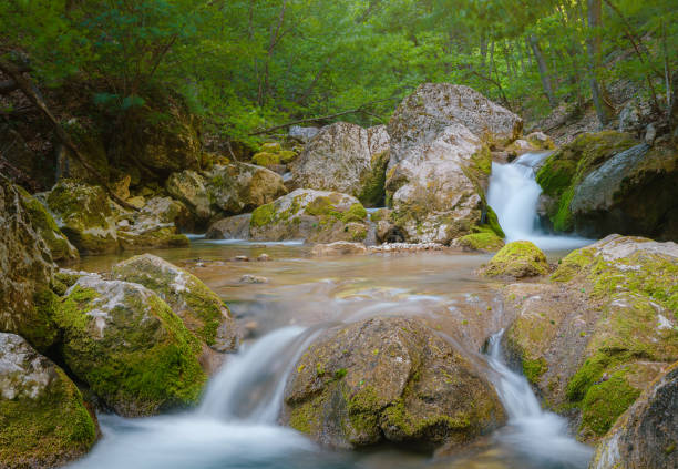 small river deep in the green woods. wonderful springtime scenery of mountains countryside. clear water among forest and rocky shore. wooden fence on the river bank.