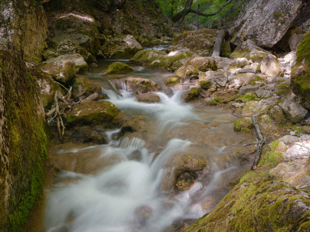 istock small river deep in the green forests 1340933286