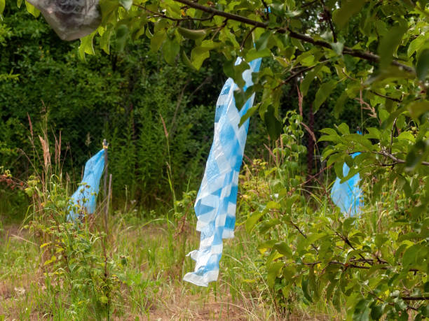 istock plastic bag scares away birds in the garden 1340936041