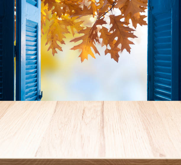 ventana al jardín de otoño - inside out fotografías e imágenes de stock