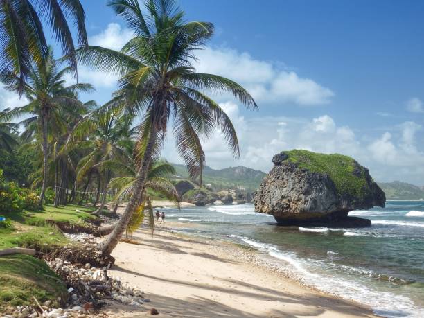 pilha de mar em bathsheba - barbados - fotografias e filmes do acervo