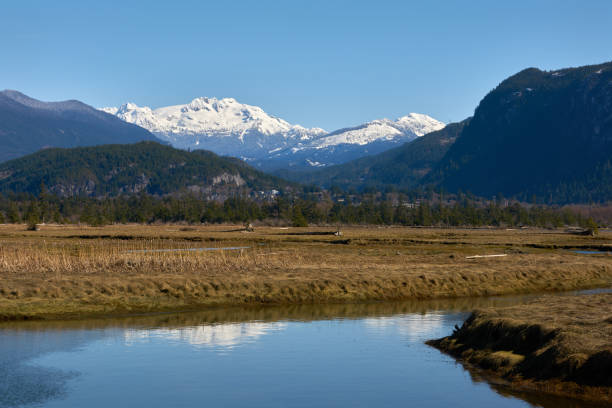 istock Mamquam Mountain from the Squamish Estuary 1340939828