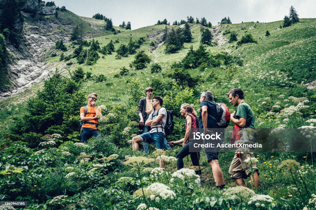 View of friends hiking through grassy meadow In the European Alps, in summer Hiking Stock Photo