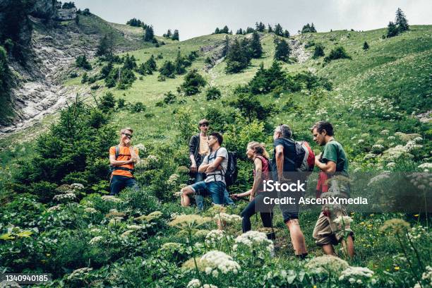 View Of Friends Hiking Through Grassy Meadow Stock Photo - Download Image Now - Hiking, Group Of People, Switzerland
