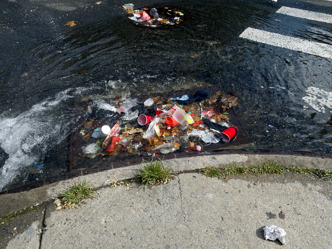 Water from open fire hydrant in summer builds on corner of sewer drain clogged with trash Bronx NY