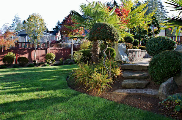 Autumn Season in Backyard