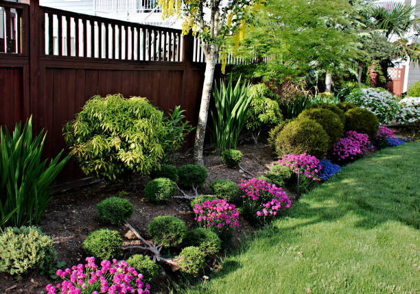 parterre - brush fence photos et images de collection