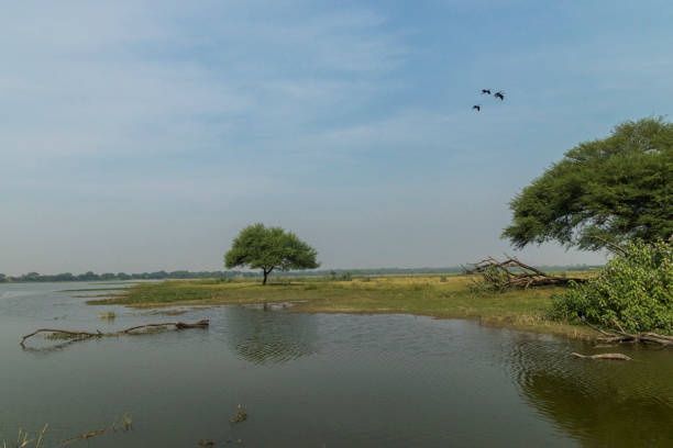 istock Thol Lake, Ahmedabad 1340944119