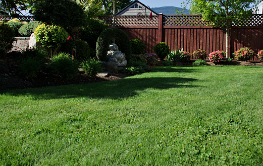 Fresh green colored lawn growing in the grass area of this backyard surrounded by flowerbed featuring bushes in bloom and a variety of trees during springtime season on a sunny days.