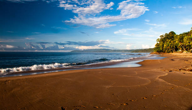 istock beach in costa rica 1340945526