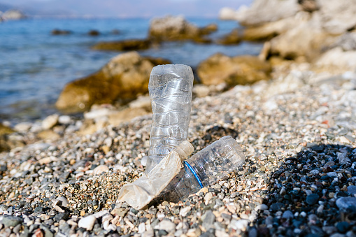Photo of plastic bottles thrown on the beach