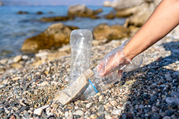 istock unrecognizable volunteer female hand picking up plastic bottles thrown on the beach 1340952851