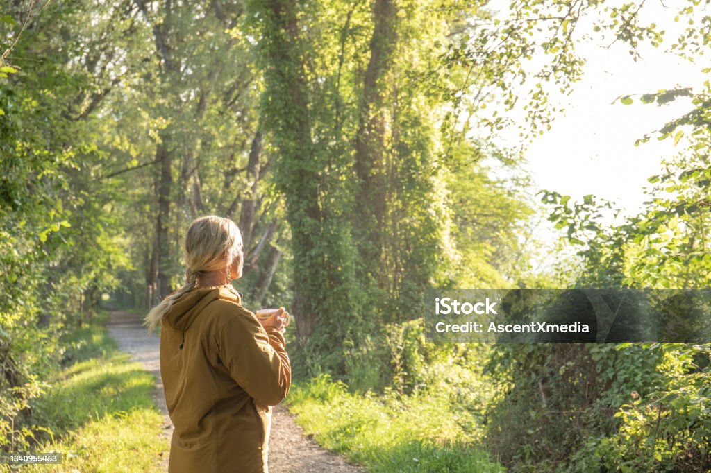 Woman pauses on forested trail before morning hike She enjoys coffee, and looks out through lush forest Mindfulness Stock Photo
