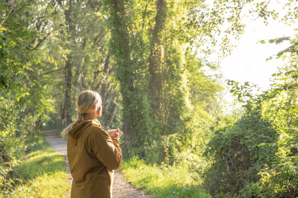 kobieta zatrzymuje się na zalesionym szlaku przed poranną wędrówką - landscape tree field solitude zdjęcia i obrazy z banku zdjęć