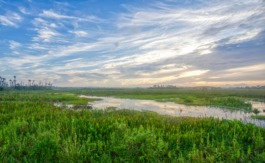 A vibrant sunrise in the beautiful natural surroundings of Orlando Wetlands Park in central Florida.  The park is a large marsh area which is home to numerous birds, mammals, and reptiles.