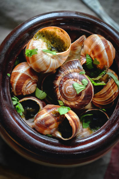 Au gratin snails in tomato sauce .
