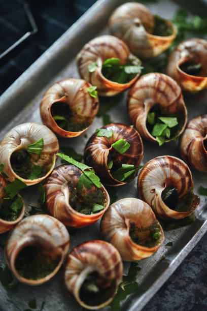 istock French Escargot Snails with Herb Butter 1340957213