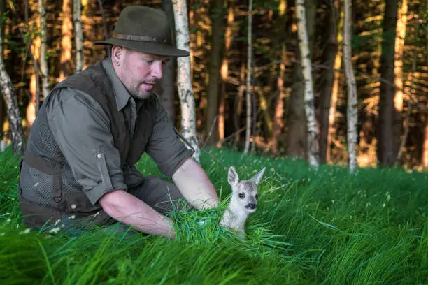 Fawns are saved from certain death by hunters with the help of drones before mowing