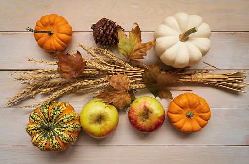 Autumn background with apples, pears, pumpkins, melons and plums in baskets on a wooden table, Thanksgiving concept, rustic harvest, healthy natural food concept, screen banner, cafe, restaurant, selective focus