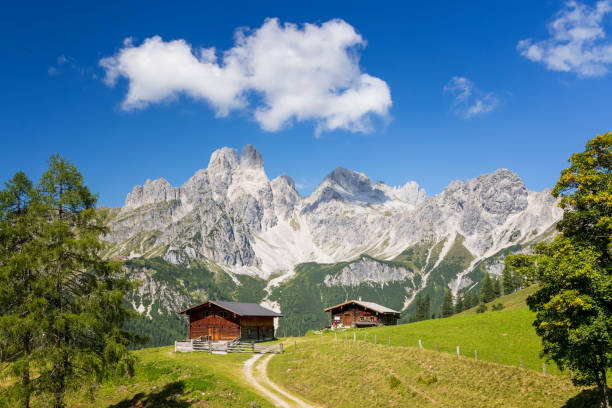 istock Alpine scenery with traditional mountain chalet in summer 1340958882