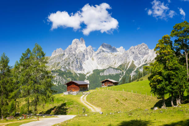 istock Alpine scenery with traditional mountain chalet in summer 1340959881