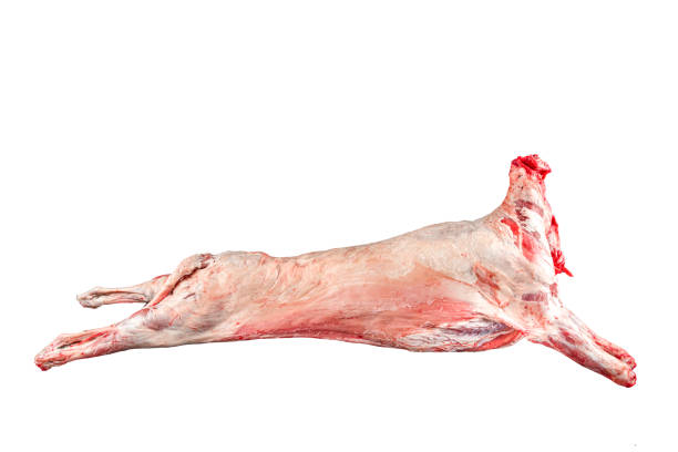 肉屋のカッティングテーブルの上の子羊の死体。羊の死体。生肉。テキスト用の空き領域。黒の背景に隔離されています。 - dead animal butcher meat sheep ストックフォトと画像