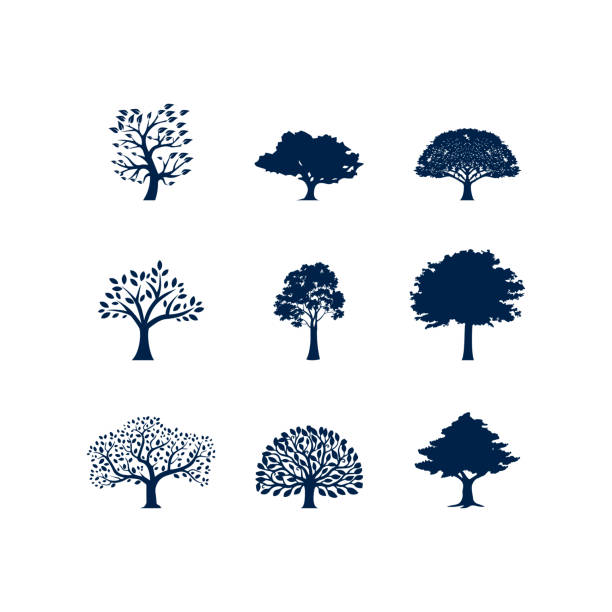 ilustraciones, imágenes clip art, dibujos animados e iconos de stock de icono de árbol, logotipo de empresa de naturaleza, ilustración vectorial. - arbol