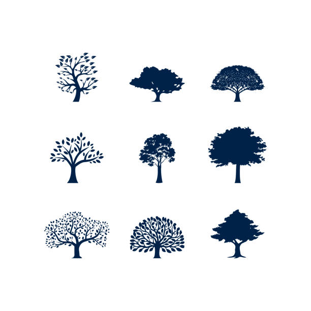 트리 아이콘, 자연 회사 로고, 벡터 일러스트. - tree environment oak tree symbol stock illustrations