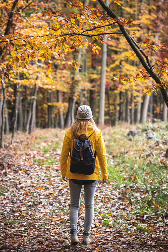 Adventure in nature. Hike in autumn forest. Tourist woman walking in woodland footpath at fall season