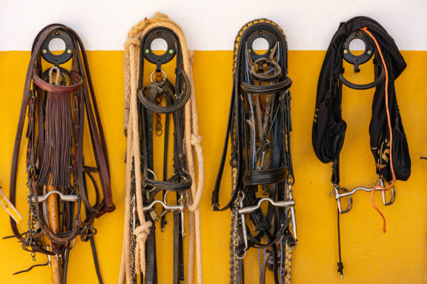 equestrian implements hanging on a wall - horse stall stable horse barn imagens e fotografias de stock