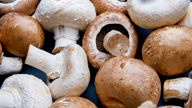 istock Fresh chestnut mushrooms full frame close up 1340971991