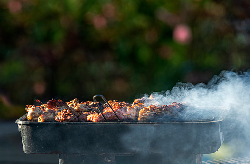 Barbecued meats and heavy smoke in the garden. Defocused (bokeh) background.