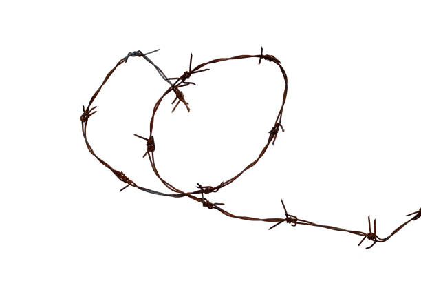 istock Rusty barb wire isolated on white background. Heart shape 1340987189