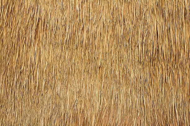 Close-up of the texture of a bulrush wall Wall of bulrush thatch-covered for a long time. straw stock pictures, royalty-free photos & images