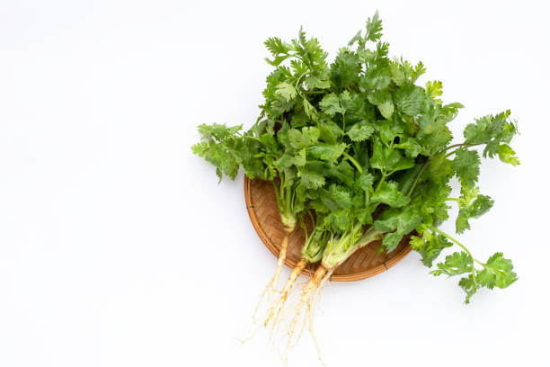 istock Fresh coriander leaves in bamboo basket on white background. 1340987988