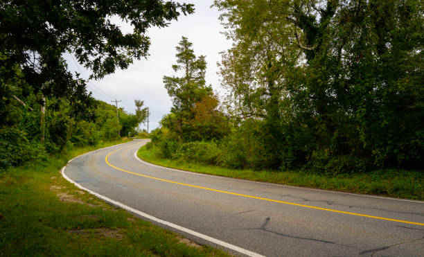istock Curved paved road winding around the forest 1340991485