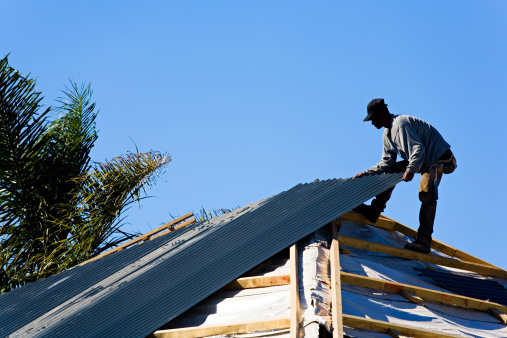 Roofer laying corrugated iron on the rafters of a new house. Camera: Canon 5D.